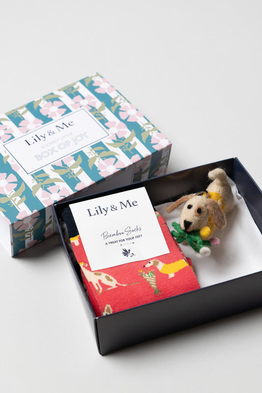 Daisy Dog Socks and Keyring Giftbox | Lily & Me