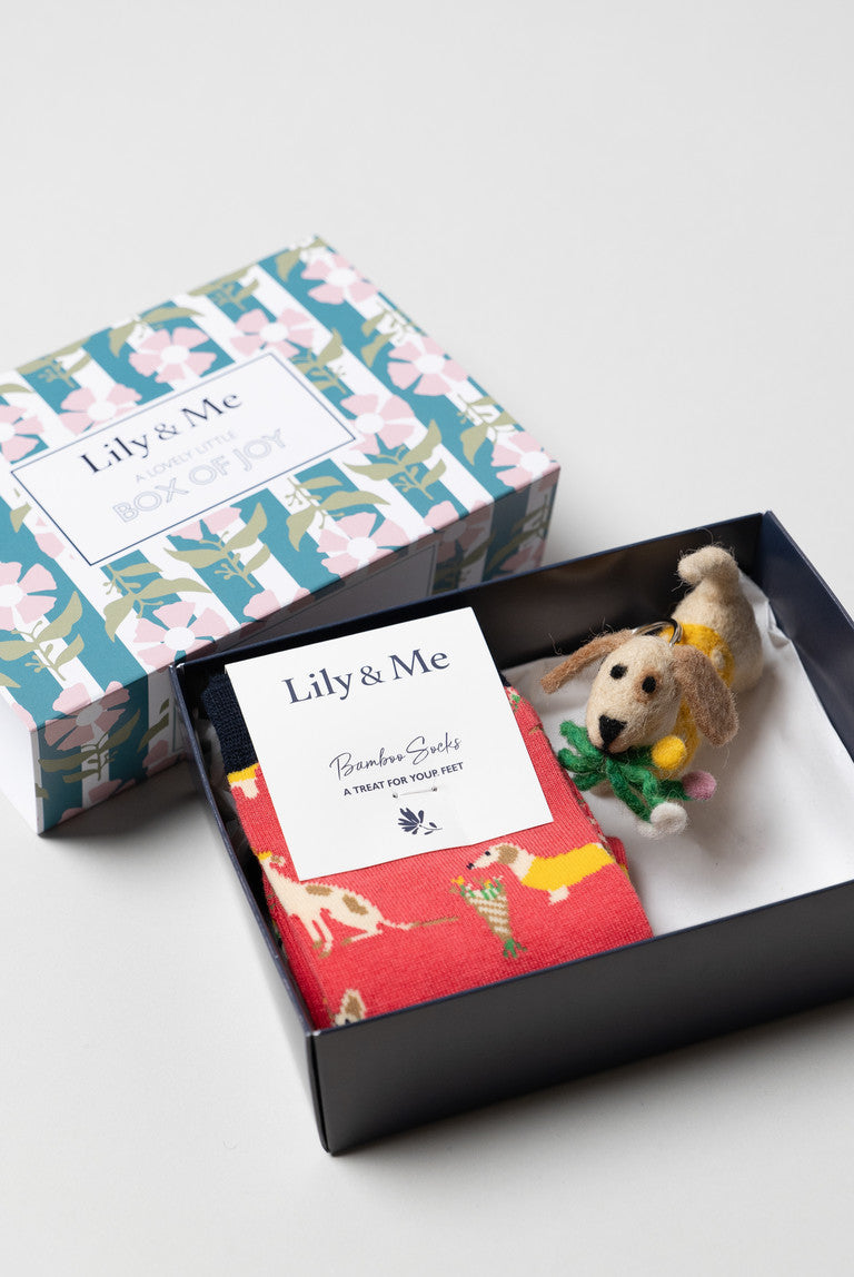 Daisy Dog Socks and Keyring Giftbox | Lily & Me