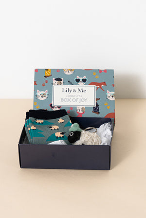 Sheep Themed Bamboo Socks & Keyring Gift Box