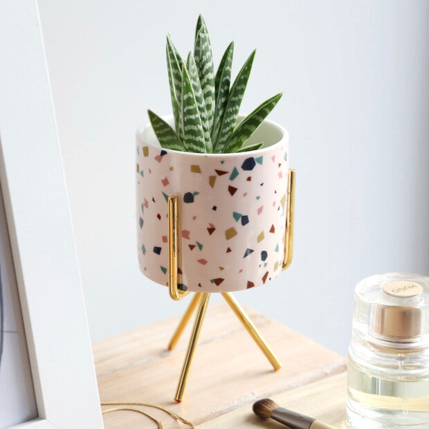 Terrazzo Print Mini Planter & Stand from Lisa Angel