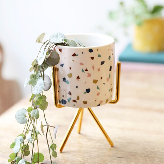 Terrazzo Print Mini Planter & Stand from Lisa Angel
